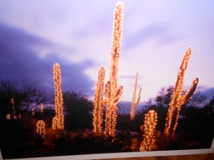 December card with lighted trees,  Tucson, AZ